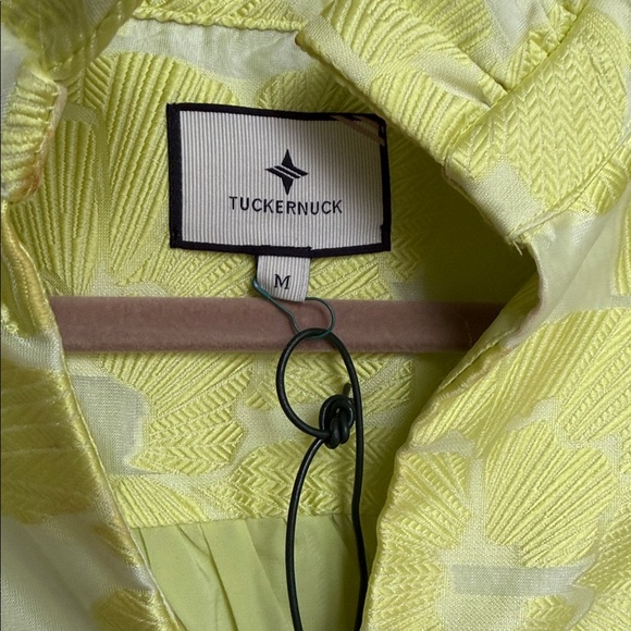 Tuckernuck Citron Fil Coupe Palmerston Dress - Picture 5 of 6